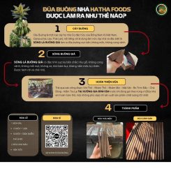 đũa buông bình thuận