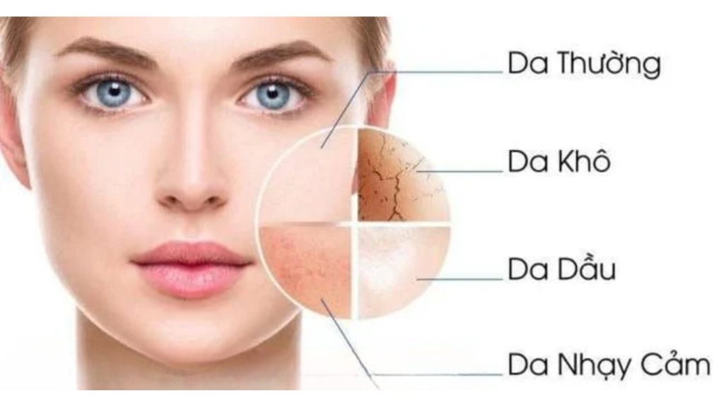 Lựa chọn loại da phù hợp 