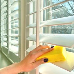 bọt biển lau bụi đa năng