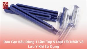 dao-cạo-rau-dung-1-lan-top-5-loai-tot-nhat-va-luu-y-khi su-dung