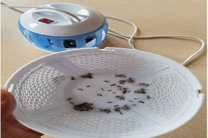 cách sử dụng đèn bắt muỗi
